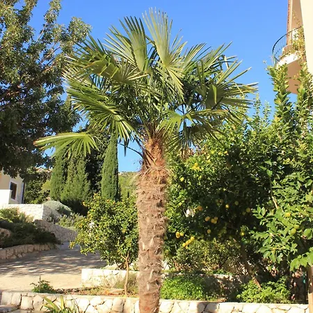 Pensjonat Triple 2681b